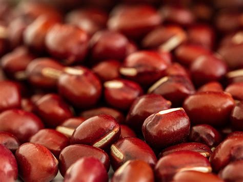  Azuki Beans: Fascinating Legumes for Innovative Food Applications!