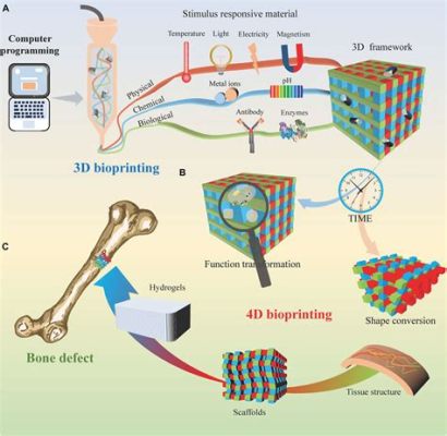  Hydroksyapatyt - Bioceramic Material for Bone Regeneration and Dental Implants!